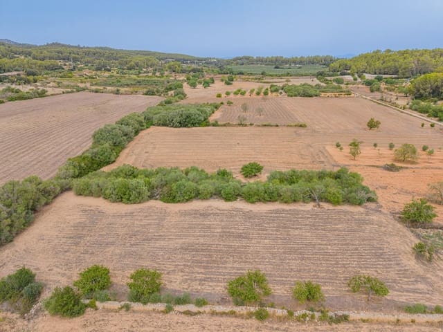 Ubebygd land til salgs i Porreres - € 12 000 (Ref: 10044885)