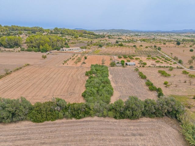 Ubebygd land til salgs i Porreres - € 12 000 (Ref: 10044885)