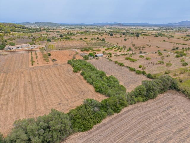 Ubebygd land til salgs i Porreres - € 12 000 (Ref: 10044885)