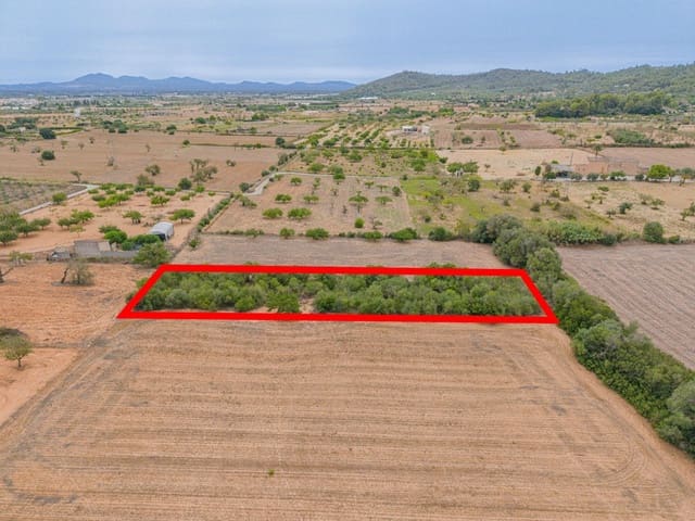 Ubebygd land til salgs i Porreres - € 12 000 (Ref: 10044885)