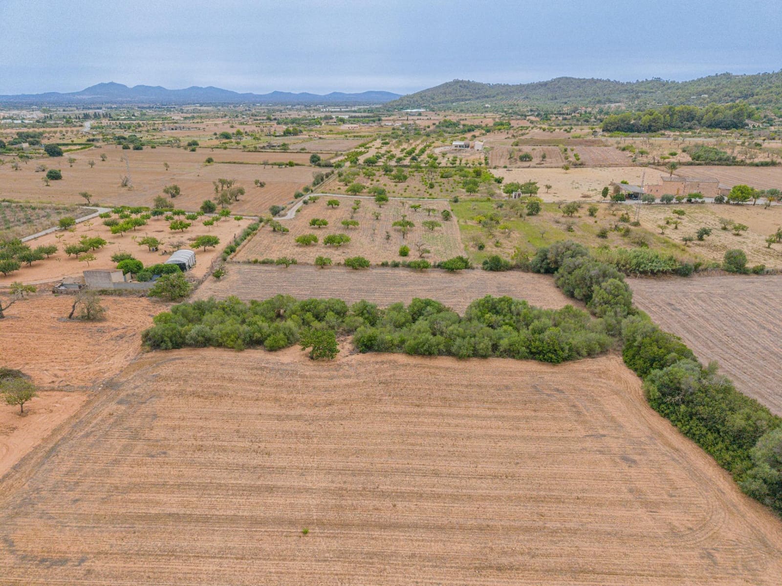 Landgrundstück zu verkaufen in Porreres - 12.000 € (Ref: 10044885)