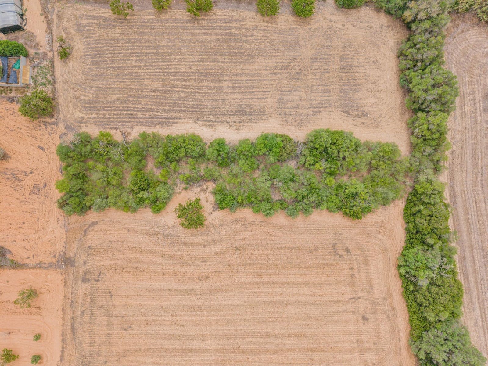 Landgrundstück zu verkaufen in Porreres - 12.000 € (Ref: 10044885)