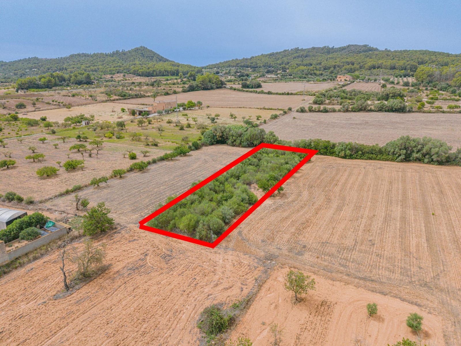 Landgrundstück zu verkaufen in Porreres - 12.000 € (Ref: 10044885)