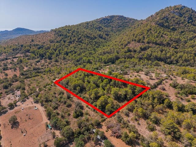 Terreno/Finca Rústica en Cala Millor, Son Servera en venta - 68.000 € (Ref: 10076485)