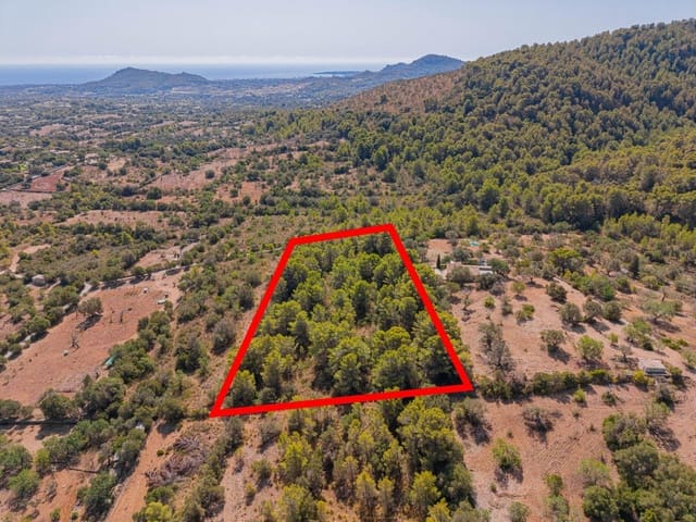 Terreno/Finca Rústica en Cala Millor, Son Servera en venta - 68.000 € (Ref: 10076485)