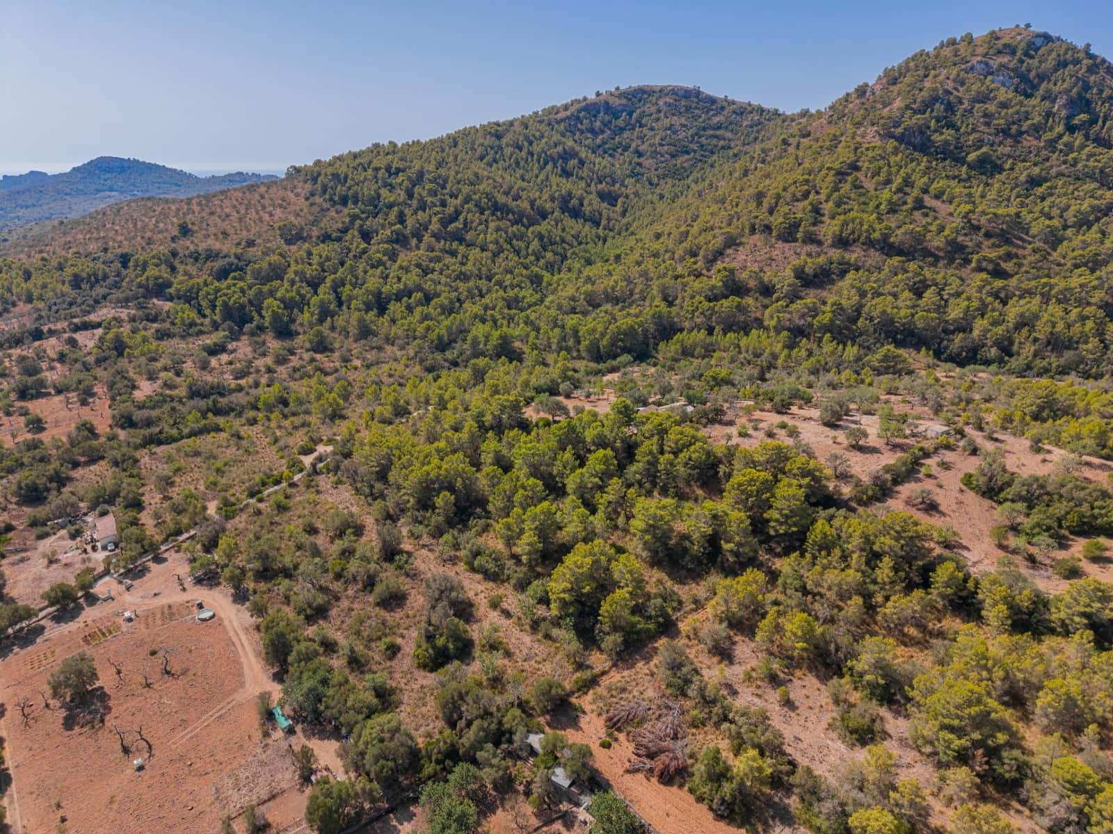 Terreno/Finca Rústica en Cala Millor en venta - 68.000 € (Ref: 10076485)
