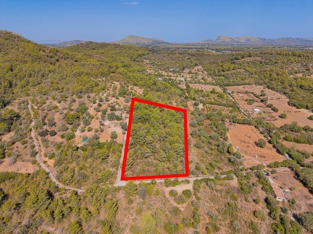 Terreno/Finca Rústica en Cala Millor, Son Servera en venta - 68.000 € (Ref: 10076485)
