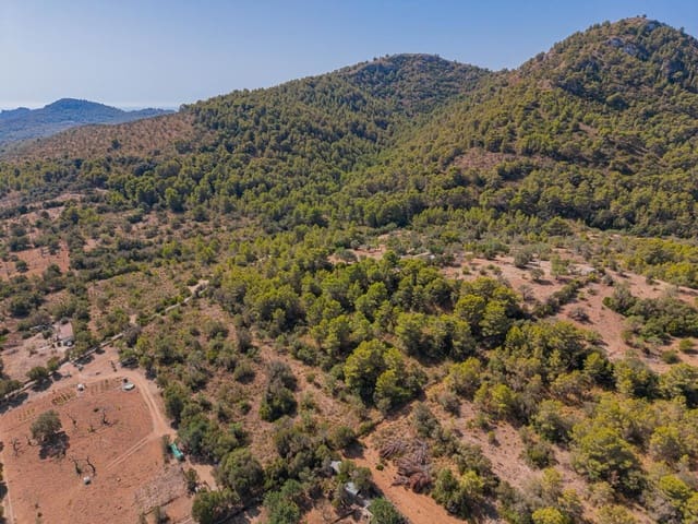 Terreno/Finca Rústica en Cala Millor, Son Servera en venta - 68.000 € (Ref: 10076485)