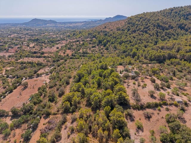 Terreno/Finca Rústica en Cala Millor, Son Servera en venta - 68.000 € (Ref: 10076485)