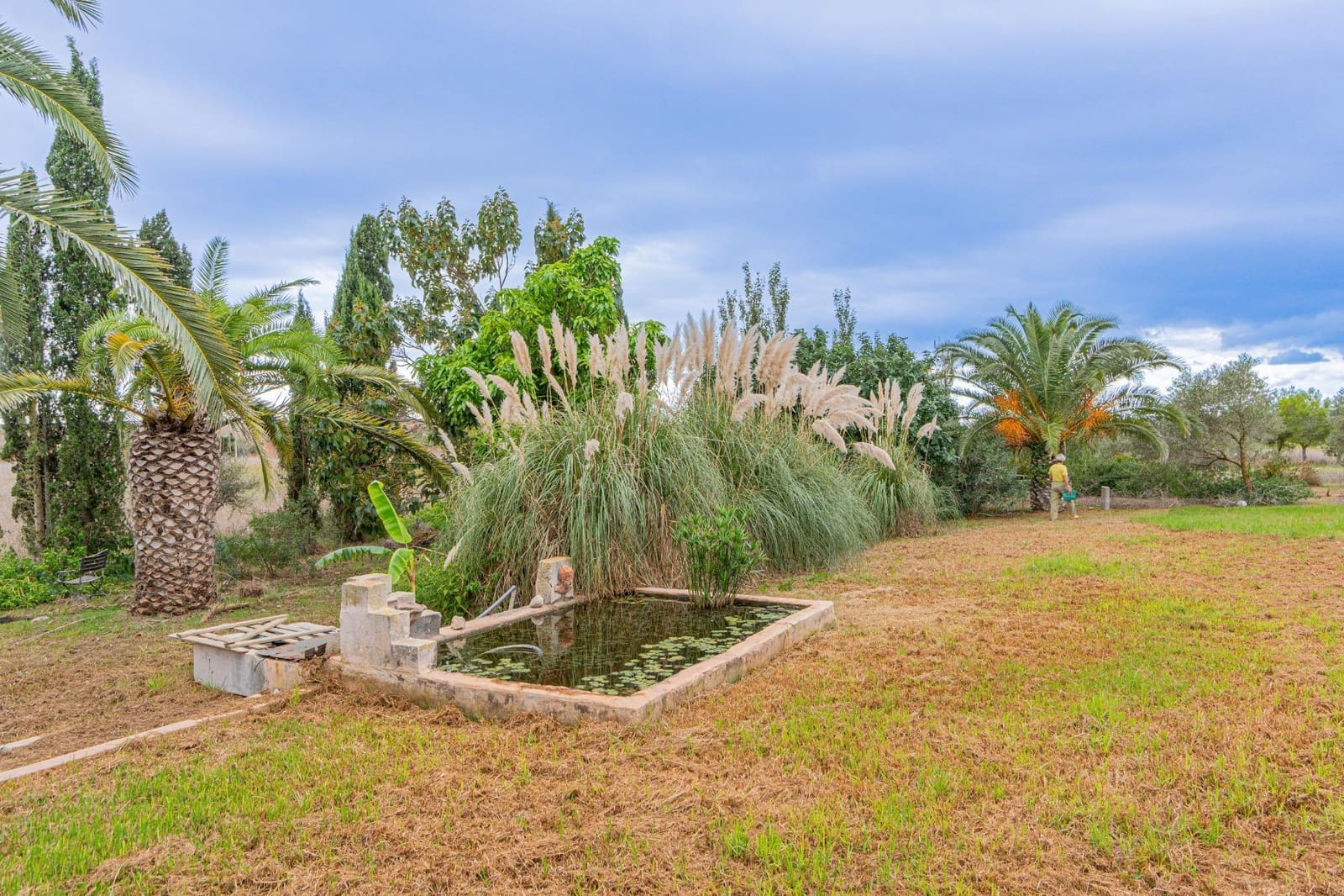 Finca/Casa Rural de 3 habitaciones en Palma de Mallorca en alquiler con piscina - 2.600 € (Ref: 10159779)