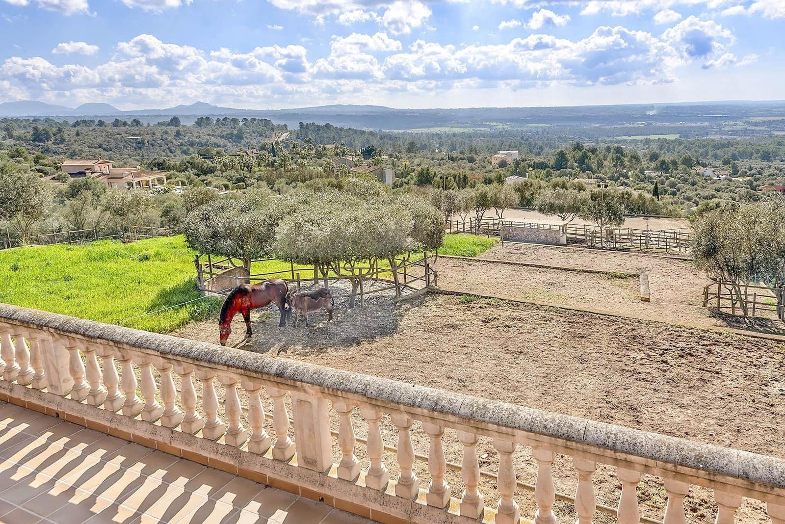 5 bedroom Villa for sale in Puntiro with pool - € 2,700,000 (Ref: 8699926)