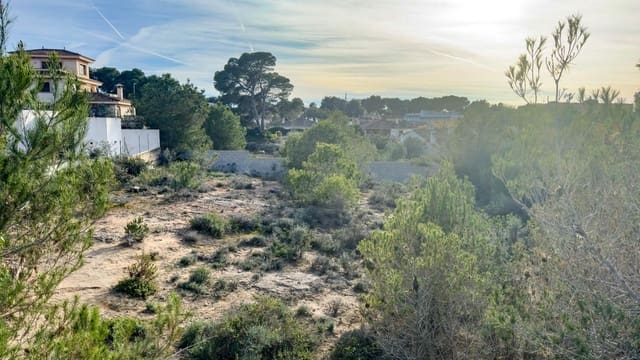 Byggetomt til salgs i Palma de Mallorca - € 299 000 (Ref: 8809811)