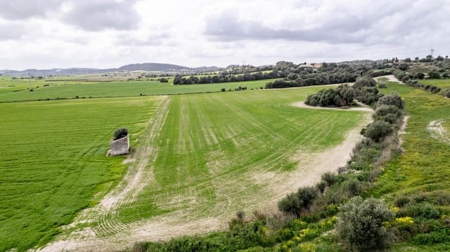 Building Plot for sale in Llubí - € 175,000 (Ref: 8851597)