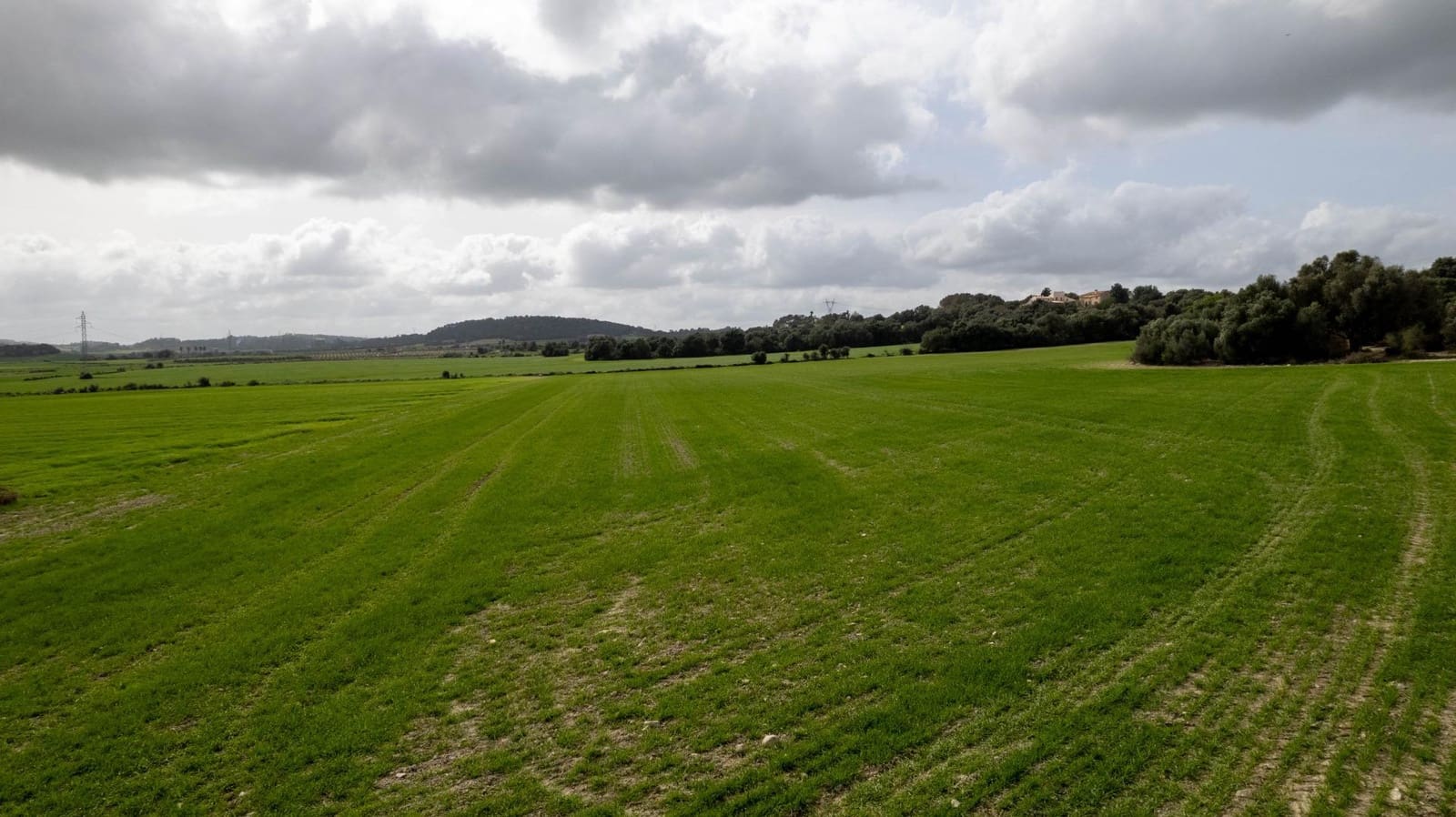 Byggegrund til salg i Llubi - € 175.000 (Ref: 8851597)