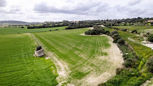 Building Plot for sale in Llubí - € 175,000 (Ref: 8851597)