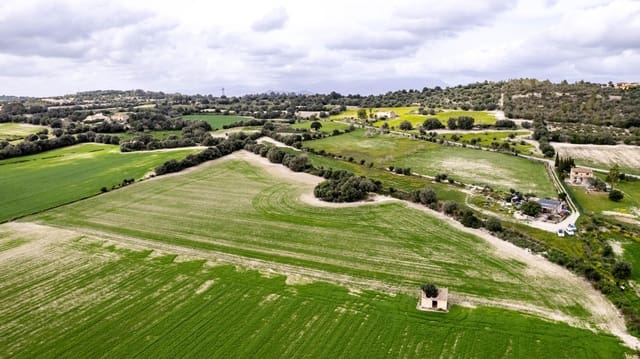 Building Plot for sale in Llubí - € 175,000 (Ref: 8851597)