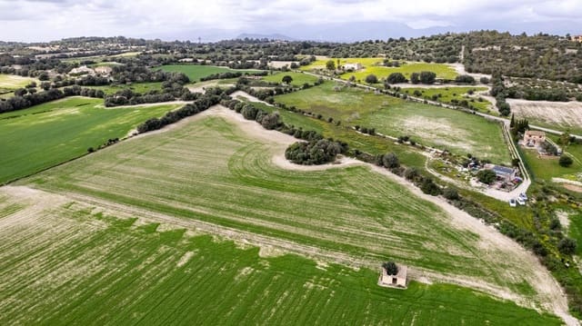 Building Plot for sale in Llubí - € 175,000 (Ref: 8851597)