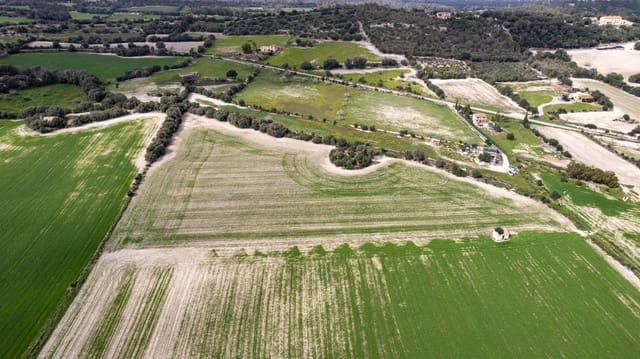 Building Plot for sale in Llubí - € 175,000 (Ref: 8851597)