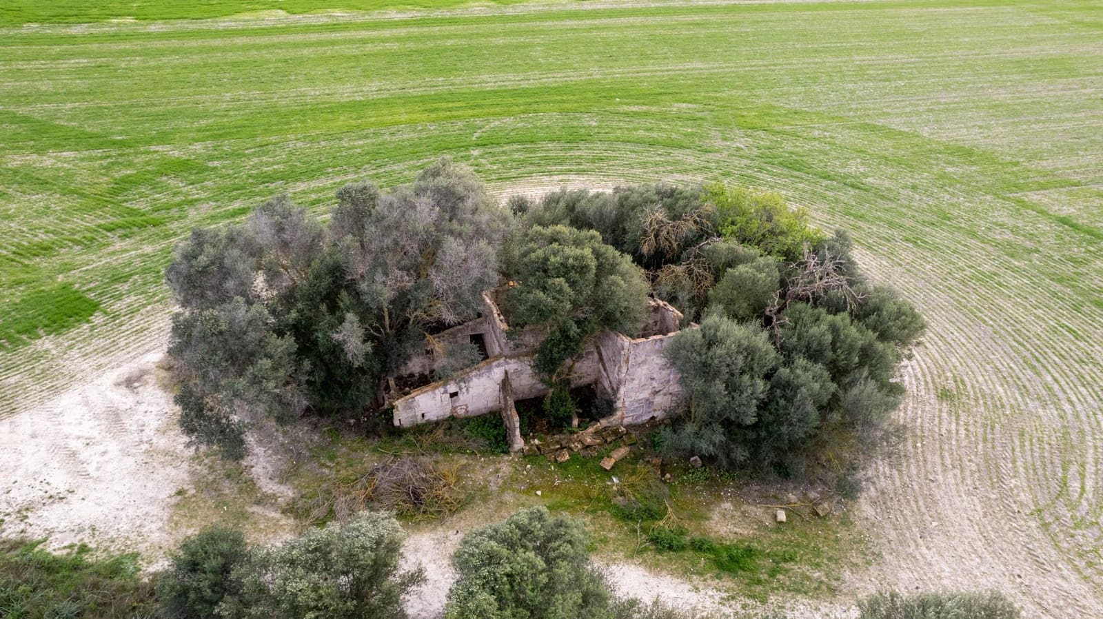 Byggegrund til salg i Llubi - € 175.000 (Ref: 8851597)