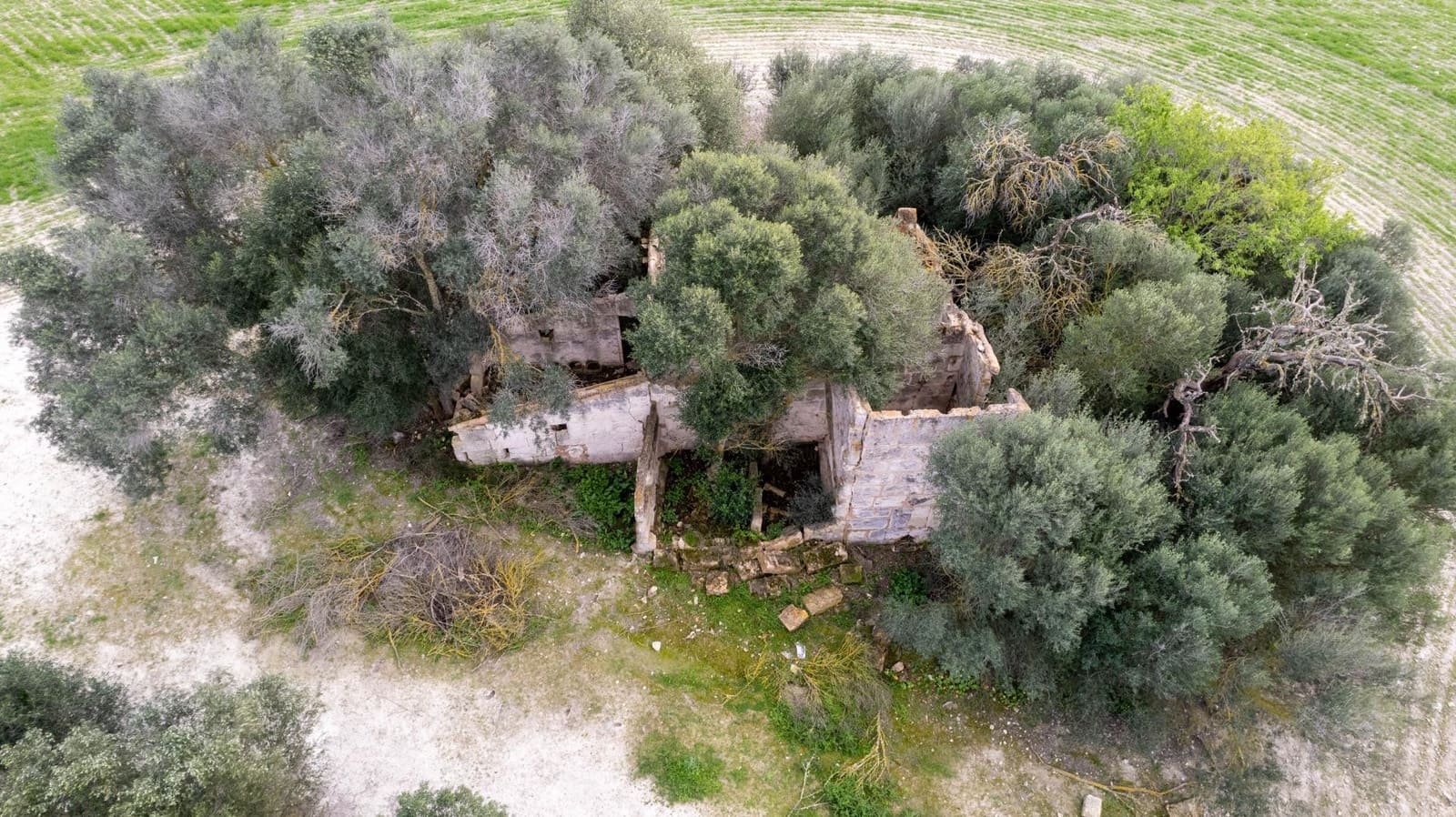 Byggegrund til salg i Llubi - € 175.000 (Ref: 8851597)