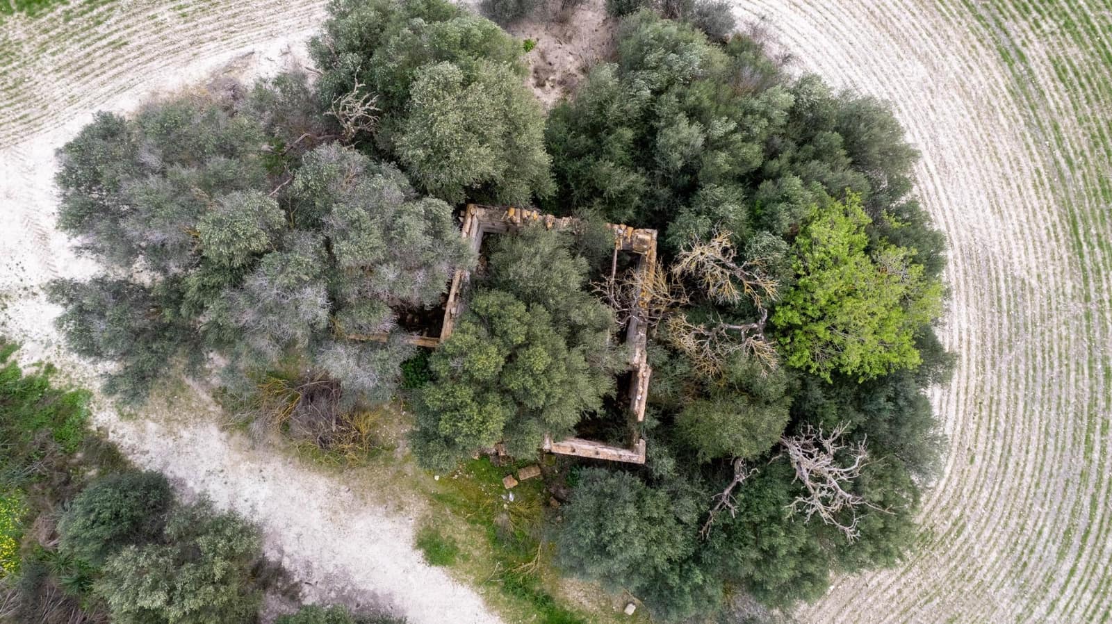 Byggegrund til salg i Llubi - € 175.000 (Ref: 8851597)