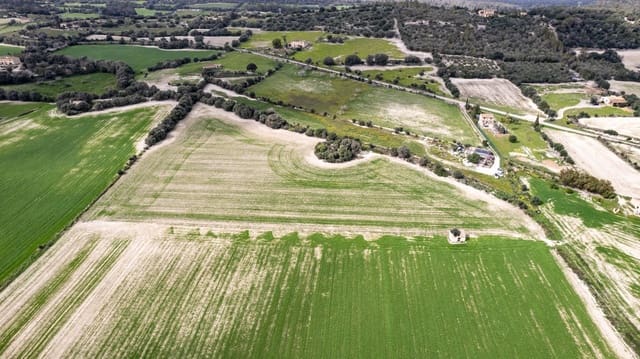 Building Plot for sale in Llubí - € 175,000 (Ref: 8851597)