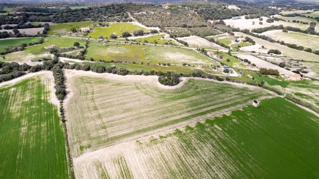 Building Plot for sale in Llubí - € 175,000 (Ref: 8851597)