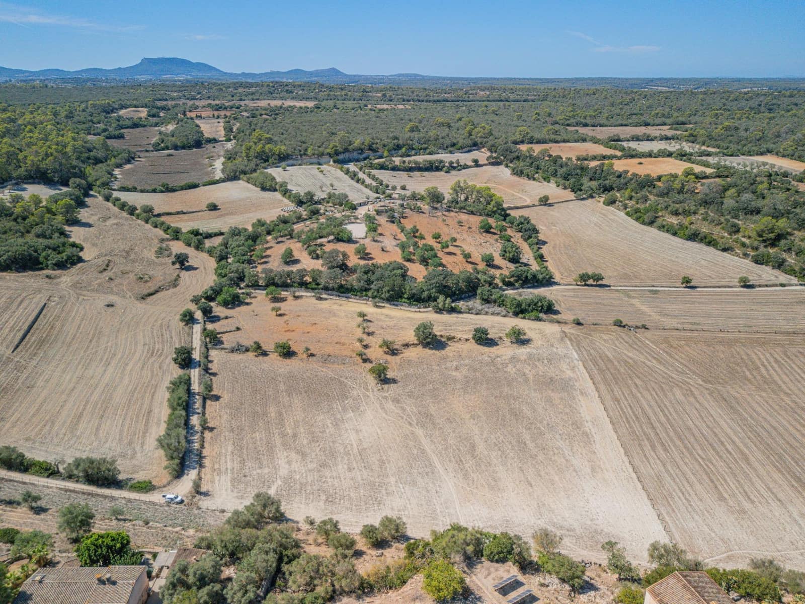 Tontti myytävänä paikassa Sineu - 182 100 € (Ref: 9219992)