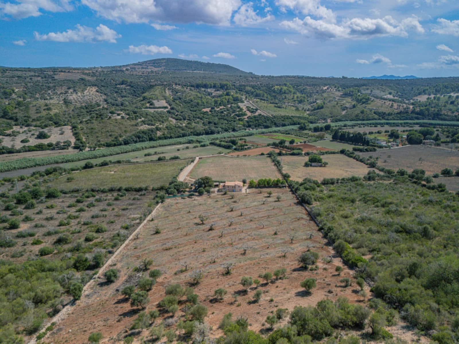 4 soveværelse Finca/Landehus til leje i Manacor - € 3.000 (Ref: 9264583)