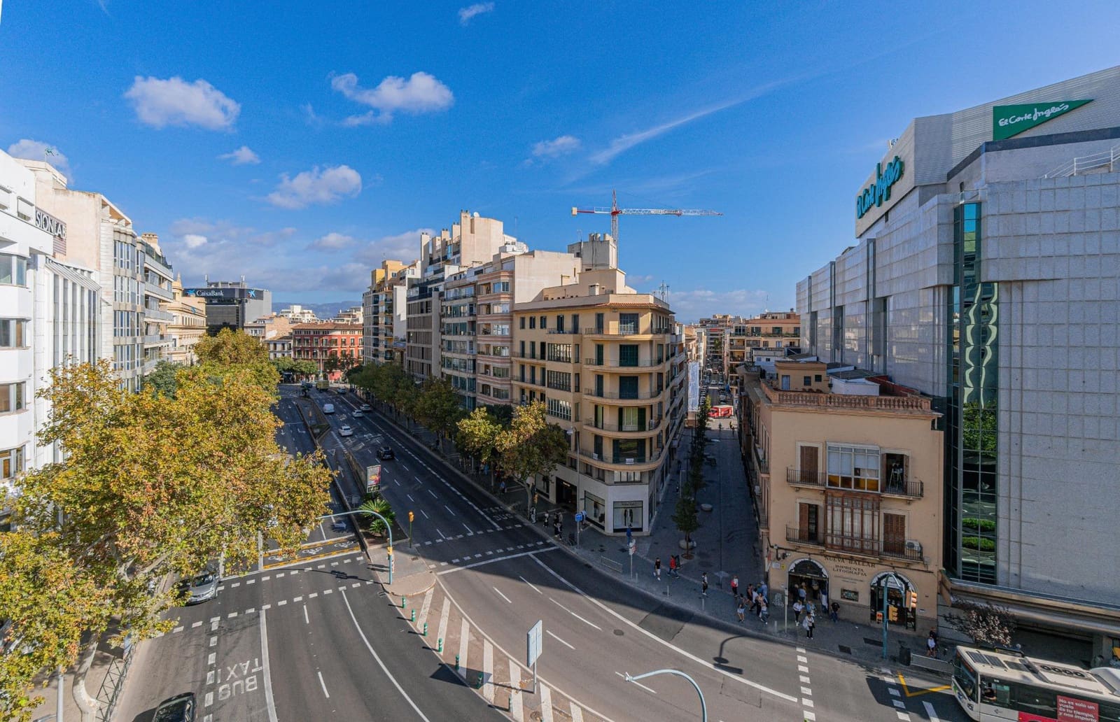 Escritório para arrendar em Palma de Mallorca - 1 600 € (Ref: 9296921)