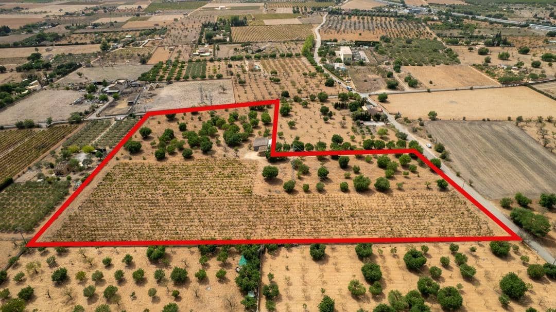 Ubebygd land til salgs i Consell - € 729 000 (Ref: 9330668)