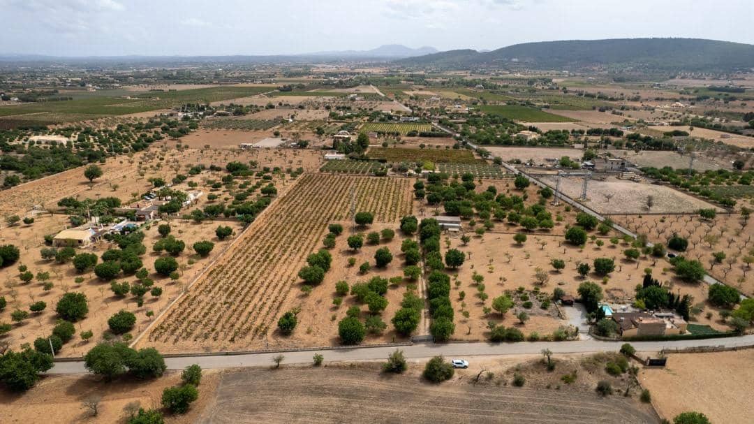 Ubebygd land til salgs i Consell - € 729 000 (Ref: 9330668)