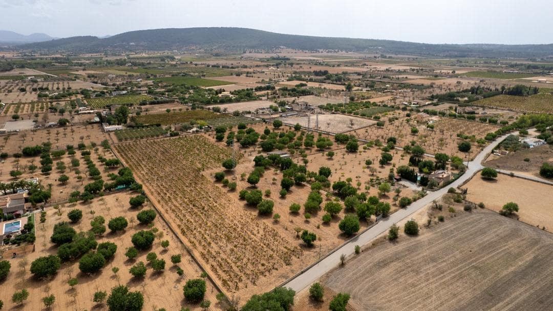 Ubebygd land til salgs i Consell - € 729 000 (Ref: 9330668)
