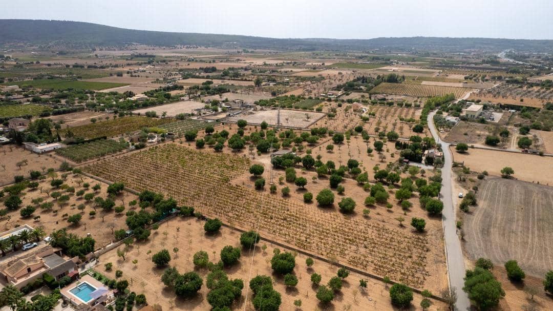 Ubebygd land til salgs i Consell - € 729 000 (Ref: 9330668)