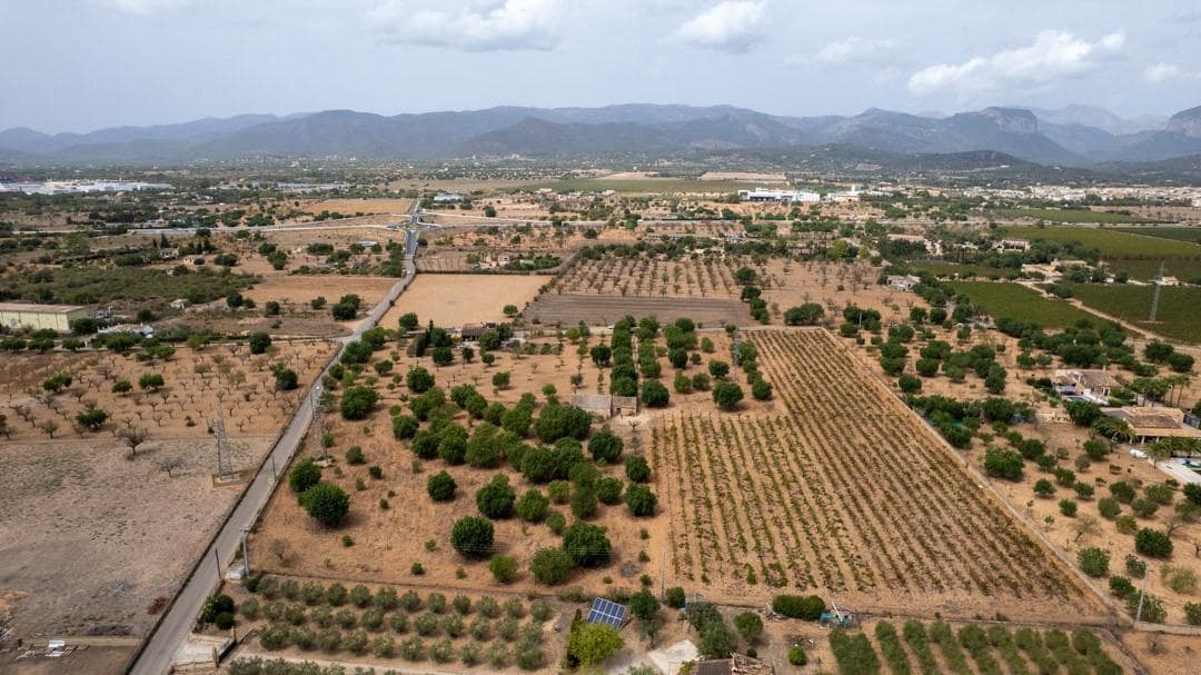 Ubebygd land til salgs i Consell - € 729 000 (Ref: 9330668)