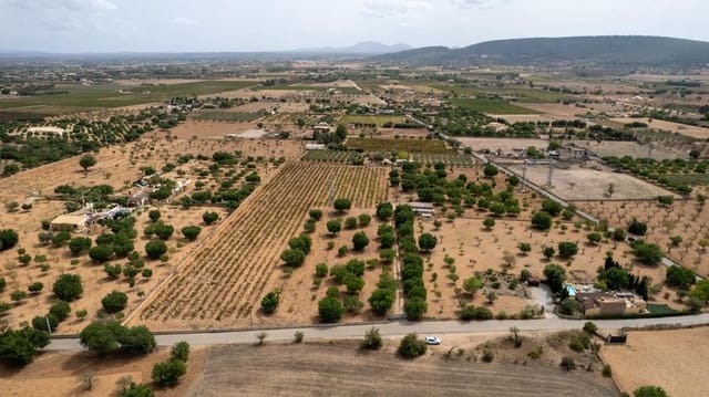 Ubebygd land til salgs i Consell - € 729 000 (Ref: 9330668)