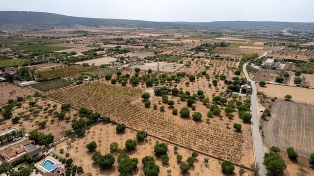 Ubebygd land til salgs i Consell - € 729 000 (Ref: 9330668)