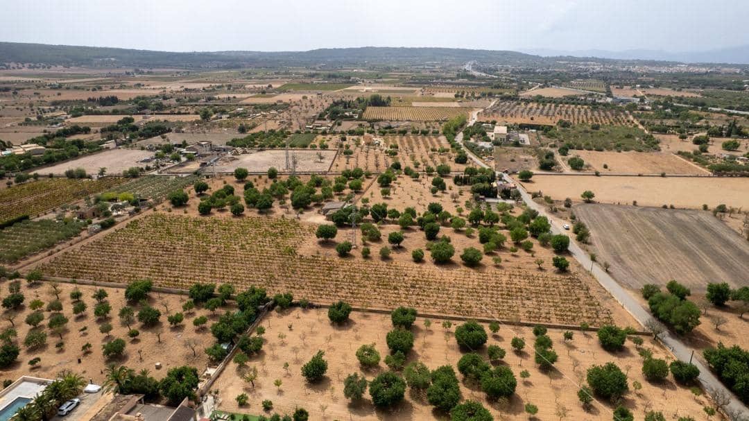 Ubebygd land til salgs i Consell - € 729 000 (Ref: 9330668)