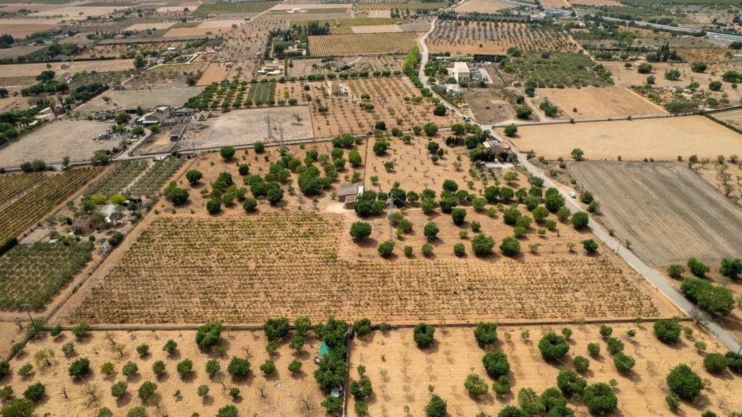 Ubebygd land til salgs i Consell - € 729 000 (Ref: 9330668)