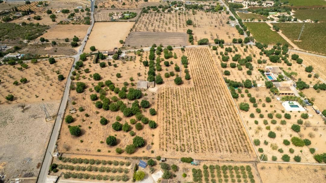 Ubebygd land til salgs i Consell - € 729 000 (Ref: 9330668)