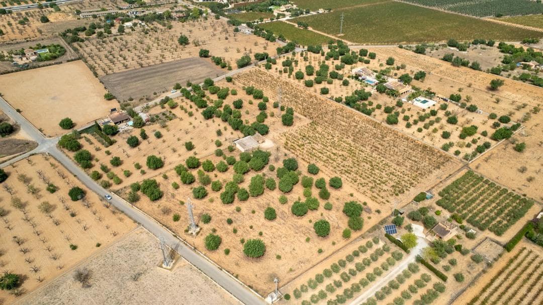 Ubebygd land til salgs i Consell - € 729 000 (Ref: 9330668)