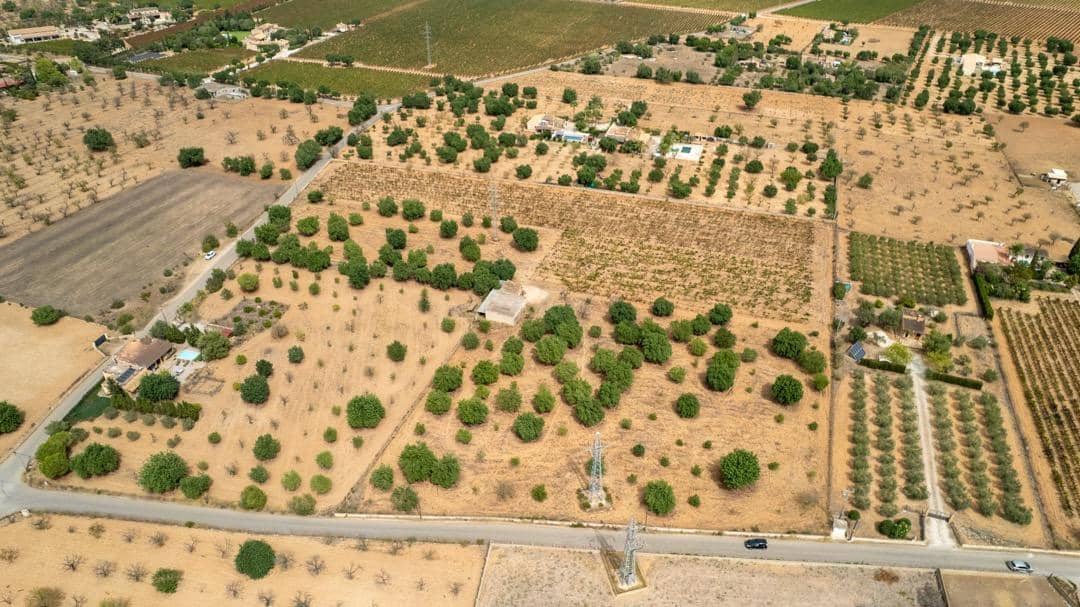 Ubebygd land til salgs i Consell - € 729 000 (Ref: 9330668)