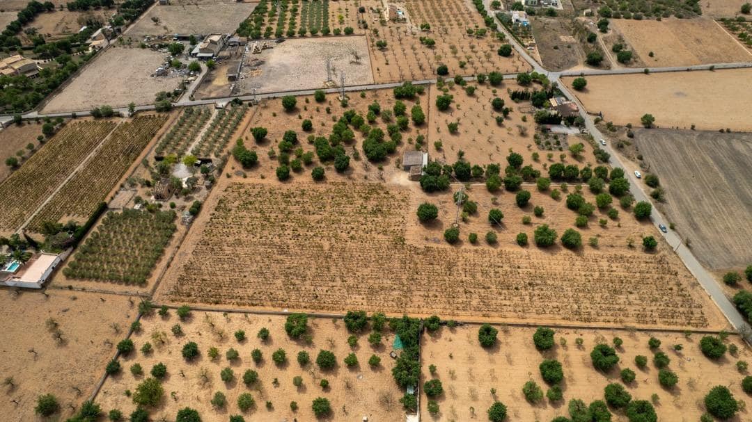 Ubebygd land til salgs i Consell - € 729 000 (Ref: 9330668)