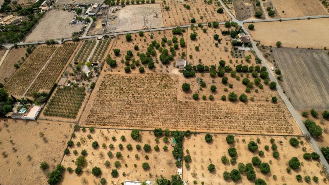 Ubebygd land til salgs i Consell - € 729 000 (Ref: 9330668)