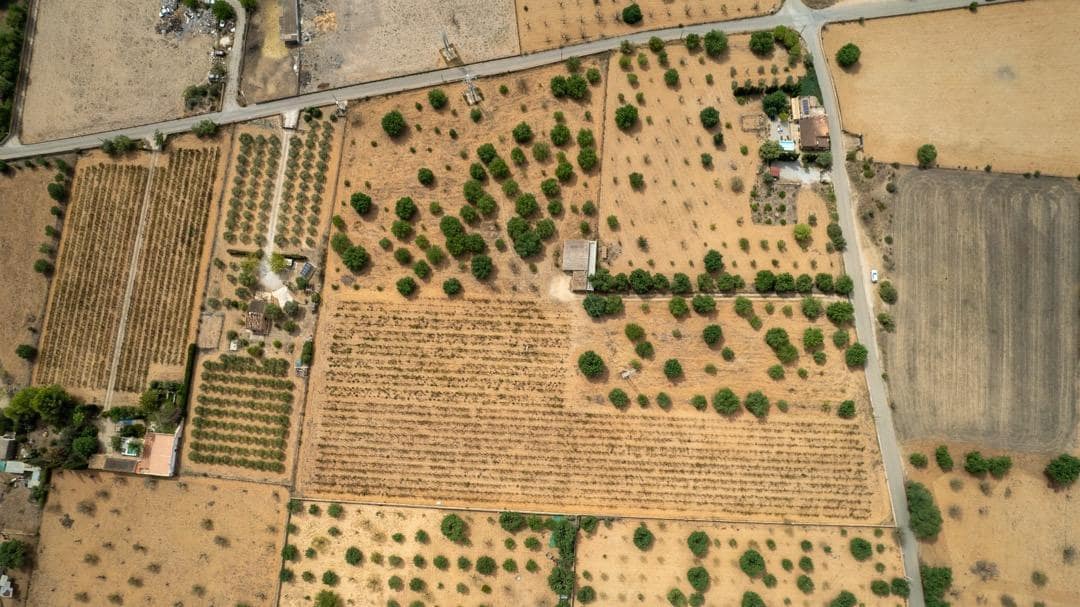 Ubebygd land til salgs i Consell - € 729 000 (Ref: 9330668)