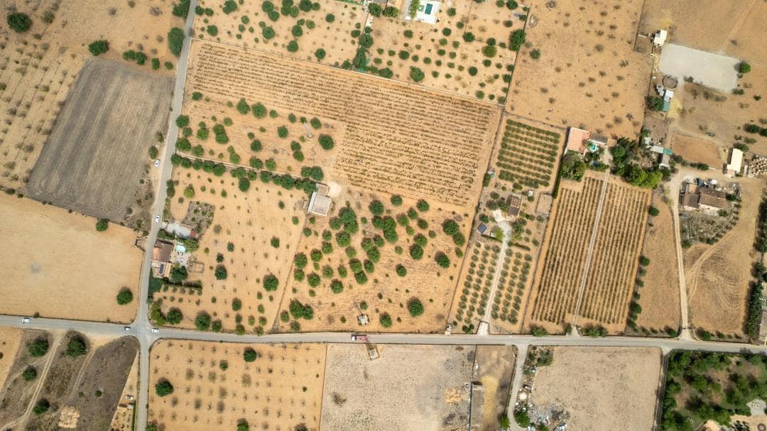 Ubebygd land til salgs i Consell - € 729 000 (Ref: 9330668)