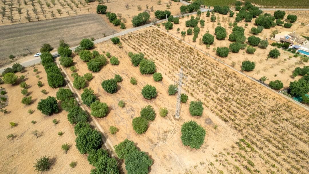 Ubebygd land til salgs i Consell - € 729 000 (Ref: 9330668)