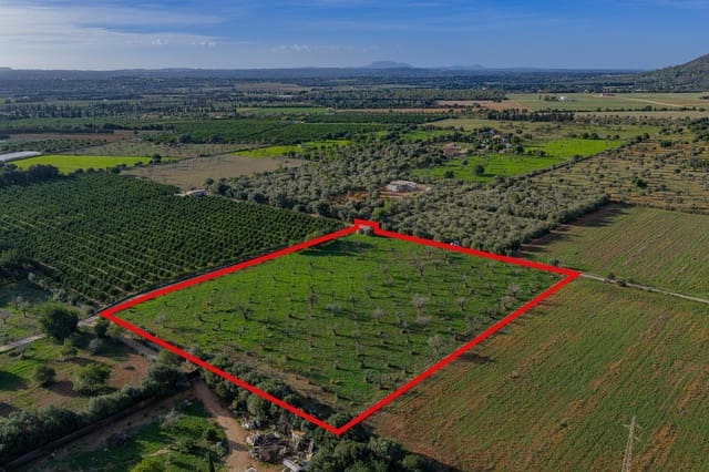 Solar/Parcela en Búger en venta - 199.900 € (Ref: 9349600)