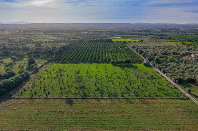 Solar/Parcela en Búger en venta - 199.900 € (Ref: 9349600)