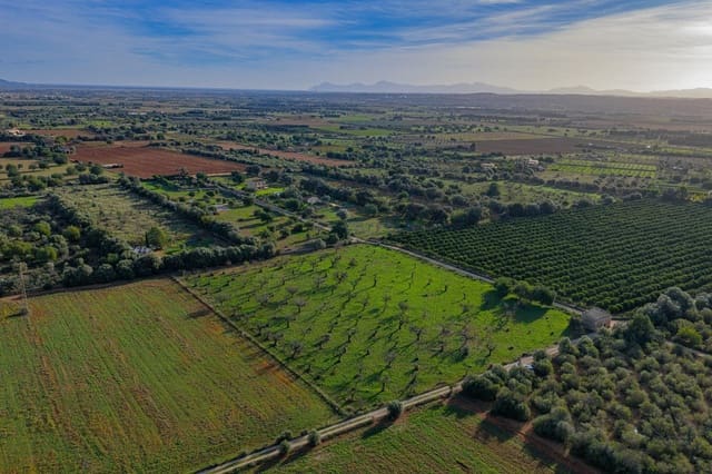 Solar/Parcela en Búger en venta - 199.900 € (Ref: 9349600)